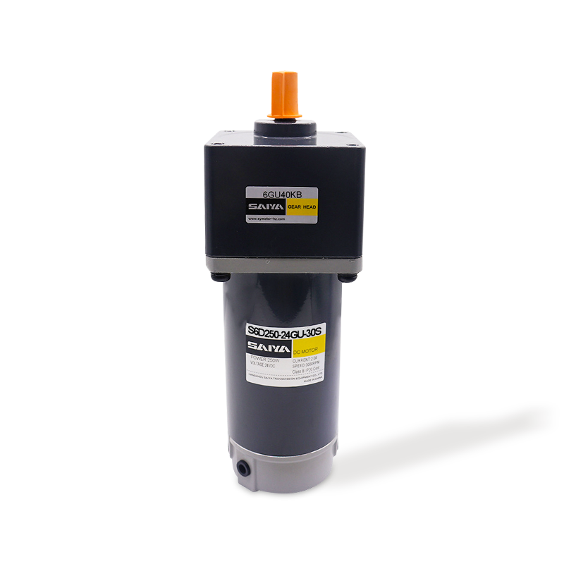 250W 브러시 DC 기어 모터